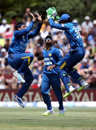 Cicket tour Sri Lanka