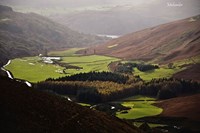 Music tours Ireland for students and groups