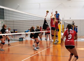 Volleyball tours for schools and groups