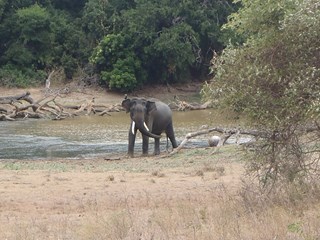 Cicket tour Sri Lanka