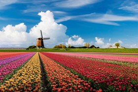 Holland art tour