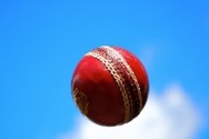 cricket tours